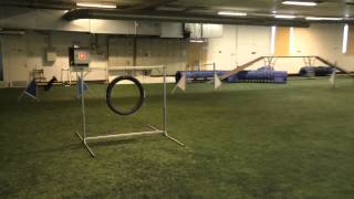 Hu, focusing and lateral push 2015 09 07