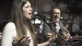 Arrel Cançó La Vall Dalbaida