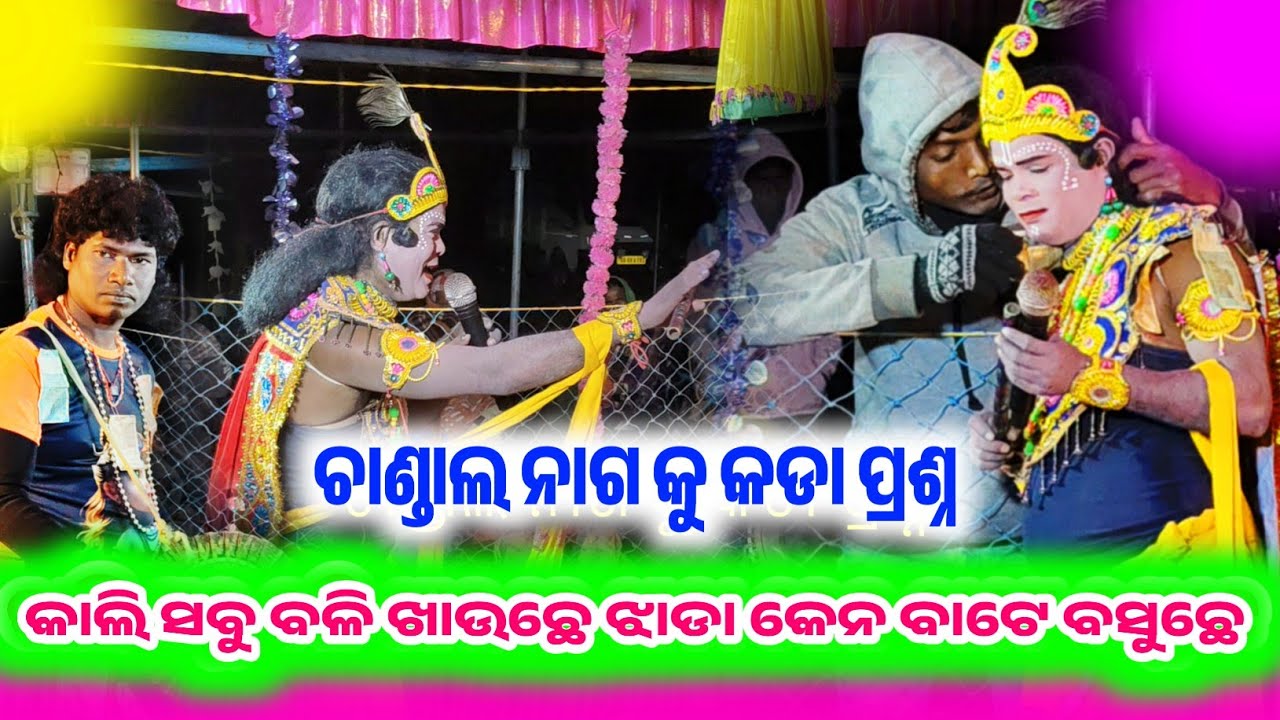 ନୁଆଁ ପ୍ରଶ୍ନଉତର ଚାଣ୍ଡାଲ ନାଗ କୁ ଭିଡ ହେଇଗଲା||Chandal Nag 