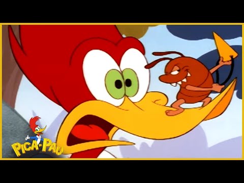 Pica-Pau em Português | COMPILAÇÃO DE 1 HORA | Desenhos Animado