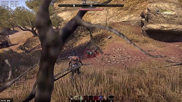 The Elder Scrolls Online on Wine using DXVK