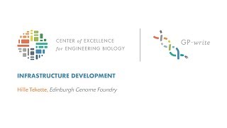 Genome Engineering Foundries Panel | Hille Tekotte