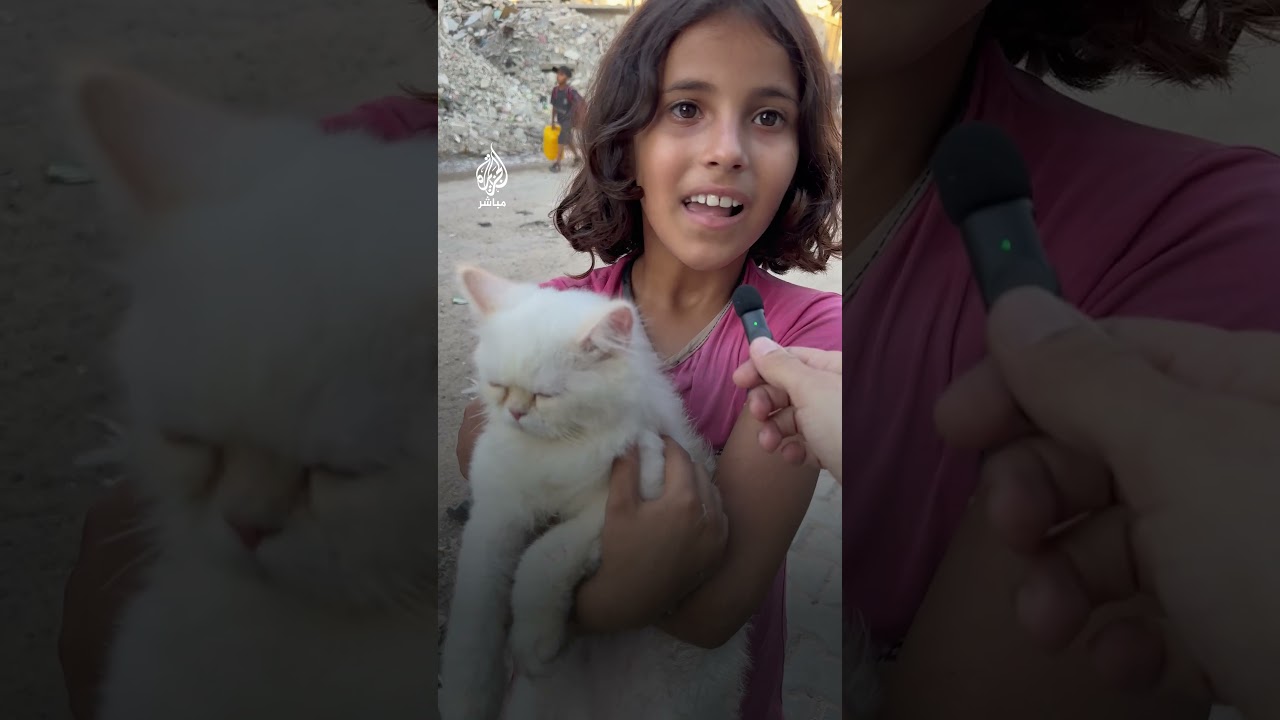 طفلة فلسطينية تنزح مع قطتها خوفًا عليها