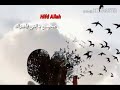 حلات واتساب حزينه 2019