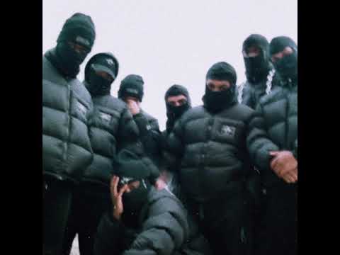 Namu Serpentard - DELTA BULLDOG ( s/o Delta Comportement)
