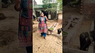 Download Lagu sector m kothii MP3