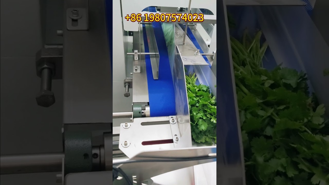HFFS horizontal flow wrap packing machine for coriander parsley