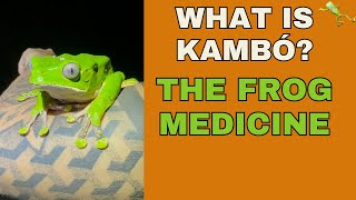 What is Kambó? The Frog Medicine