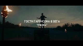 Гости Гаррисона & Вега - Пчелка [2016]