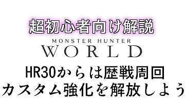 アイスボーン カスタム強化 アイスボーン カスタム強化