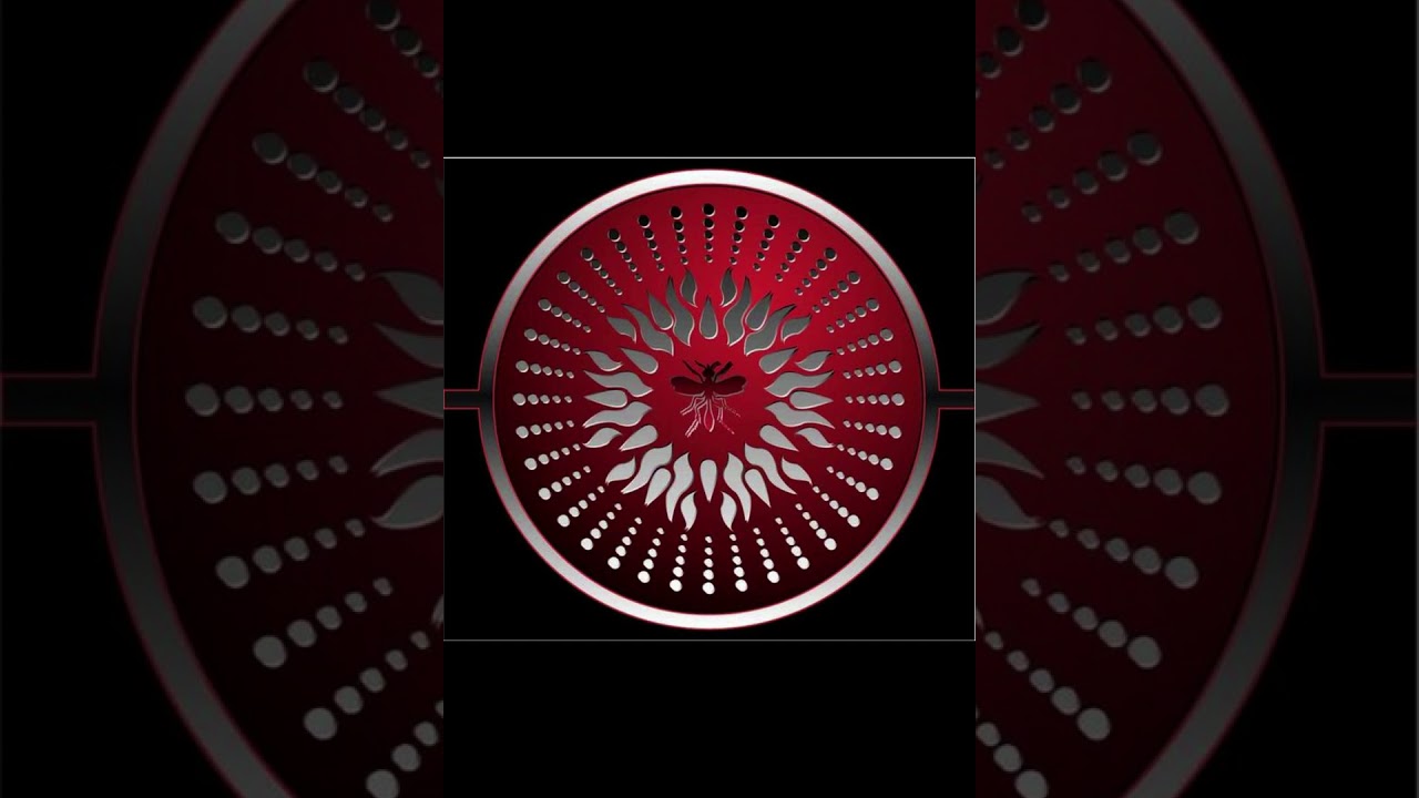 insect sun  -All things