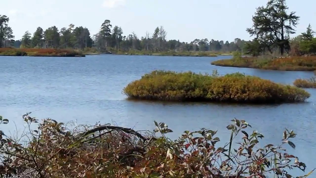 Driving through  Seney National Wildlife Refuge