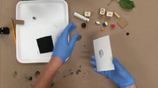 More Pronto Plates Part 1: Imaging your plate with stamps and gadgets