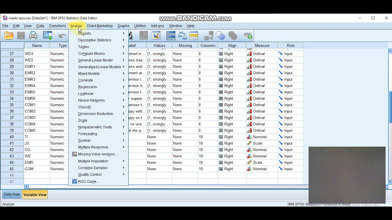 how-to-do-correlation-analysis-for-likert-scale-data-in-spss-amharic