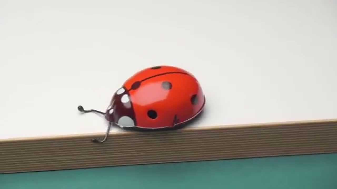 wind up ladybug