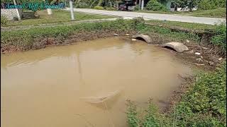 #EP1386 Tahan Pukat, Menjala dan Casting Haruan