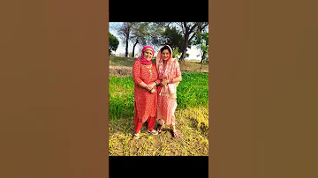 My Happiness Punjabhisong Likeandsubscribe Youtube Videoshort 