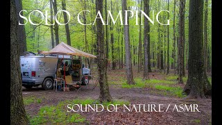 SOLO CAMPING / SOUND OF NATURE # 3 / Rainy Forest / Snow Peak IGT / Dolly Sod [ Relaxing Cosy ASMR ]