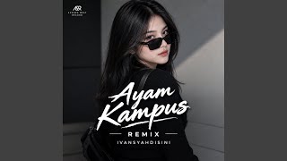 Download Lagu AYAM KAMPUS Download Lagu AYAM KAMPUS