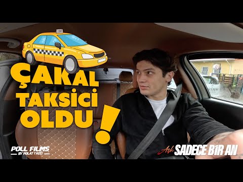 Çakal Taksici Oldu!?