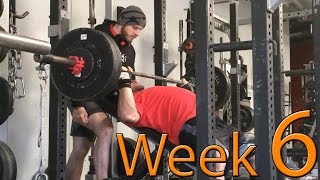 Arnold Prep Triphasic Week 6