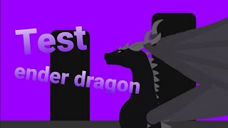 Test Ender Dragon
