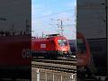 TAURUS #255 #locomotive #power #train #austria #romania #europe #railway #trainspotting #zug #trenes