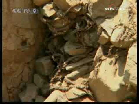 CARAL, the ancient city in Peru