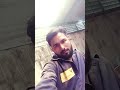 Bollywood Hindi