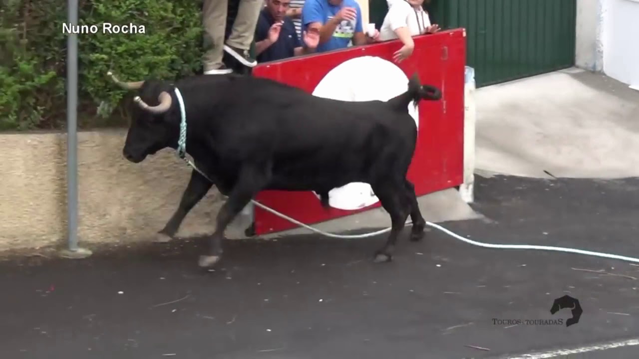 ALEFA BAREA ROJOVOLA