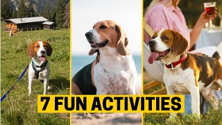 7 Fun Places You Can Take Your Beagle This Weekend new