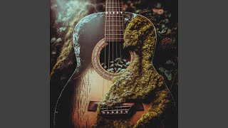 Morning In The Forest