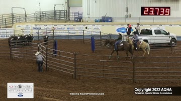 2022 Ford AQHYA World Ranch Sorting