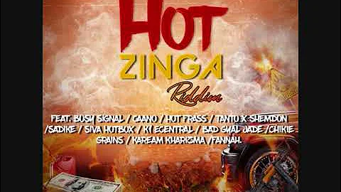 Hot Zinga Riddim Dancehall mix by Blackvinylvibes 2021