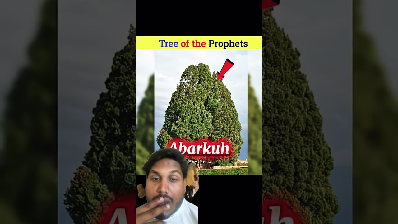 , start to finish alone build log cabin (wooden house), how to build wooden cabin, surviva