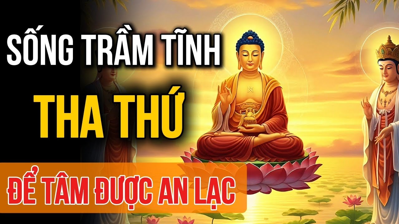 Học Cách Sống Trầm Tĩnh Và Tha Thứ Để Tâm An Lạc - Buông Đúng Cách Đời Tự An Vui