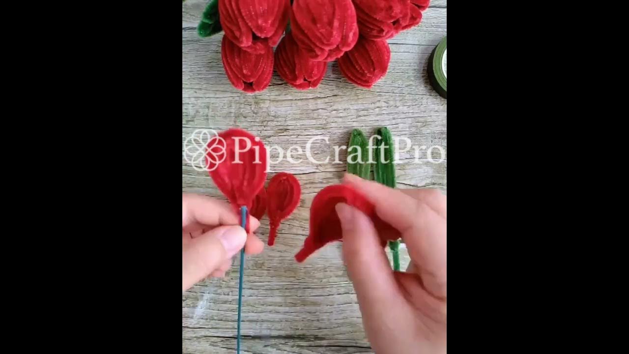 DIY Pipe Cleaners Kit Tulip YouTube
