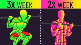 Training a Muscle 2x vs 3x a Week for Growth (New Study)