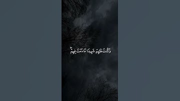 وَإِذْ قَالَ اللَّهُ يَا عِيسَى ابْنَ مَرْيَمَ __ سورة المائدة _ياسر_الدوسري 🤍🌱 #اكسبلور #fyp  #لايك
