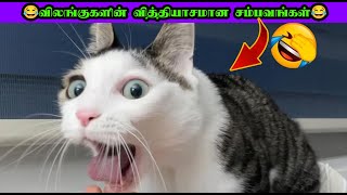 💯🤣அனிமல்ஸ்ஸின் அலப்பறைகள்😂| ANIMALS Funny Mind Voice  #viral  #trending  #comedy  #funnyanimalvideos
