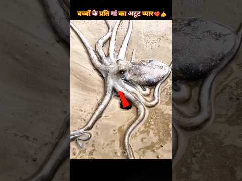 मां का अटूट प्यार ❤️👍 #maa #story #shortsfeed #shorts #youtubeshorts