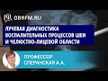 Профессор Сперанская А.А.: Лучевая диагностика воспал-ных процессов шеи и челюстно-лицевой области