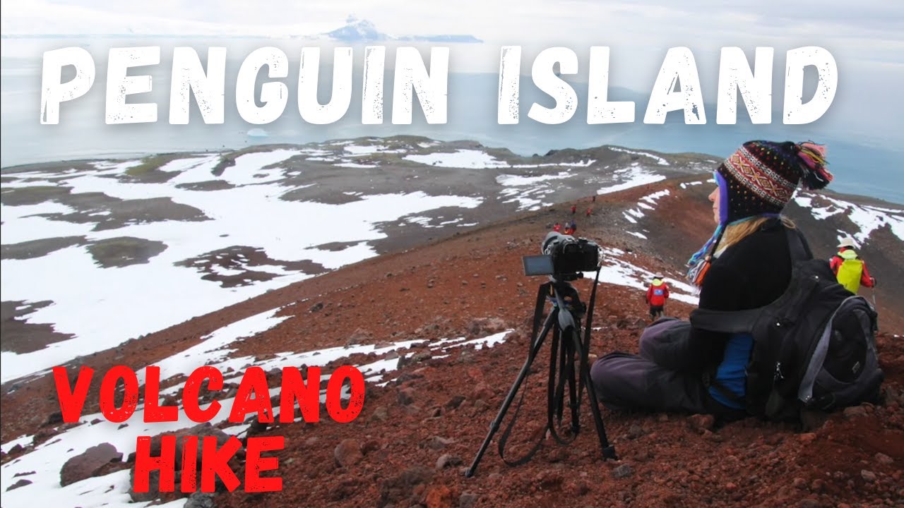 Volcano Hike on Penguin Island! (Antarctica Travel Vlog Ep15) YouTube