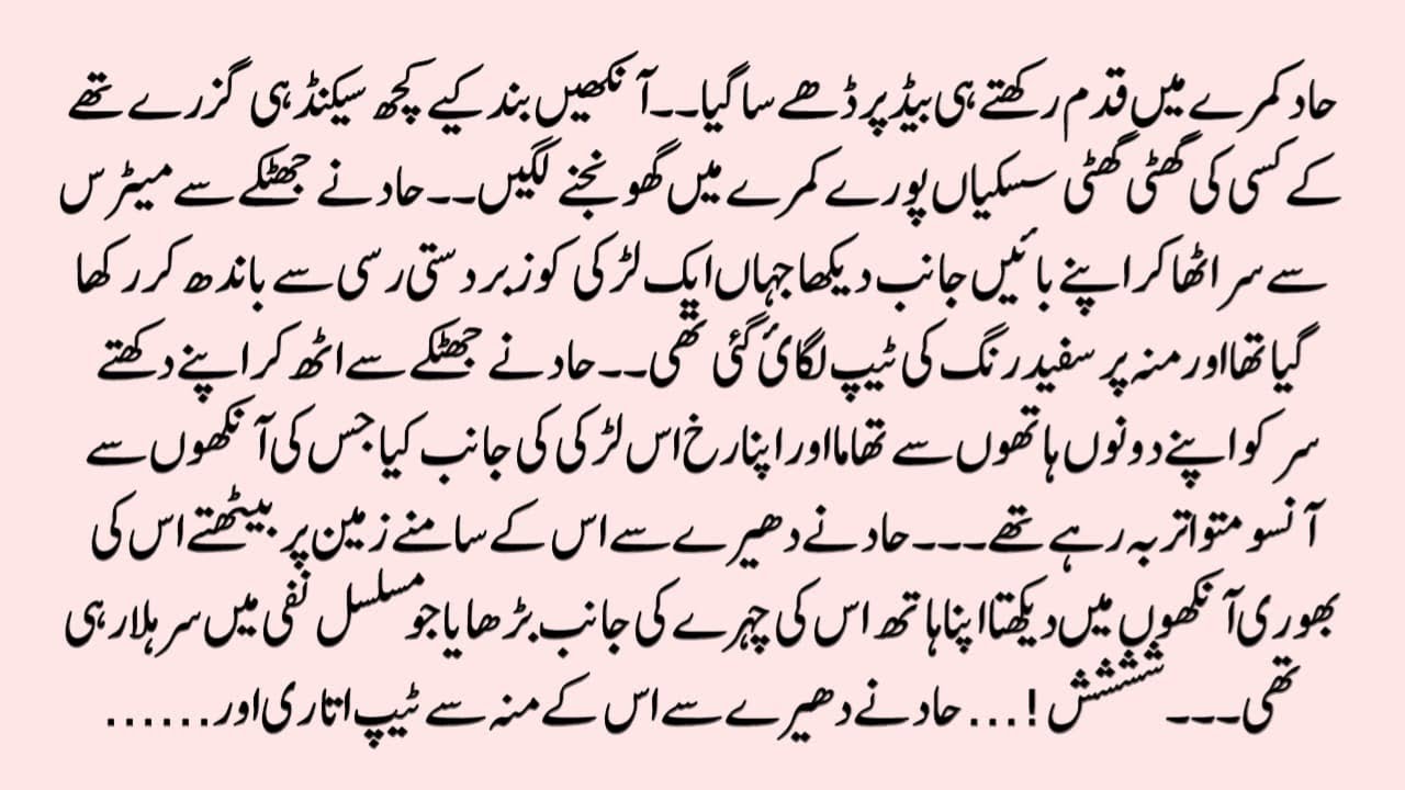 Politician Hero | Second Marriage | Police Hero | urdu complete novel | Digital Books Library - DBL