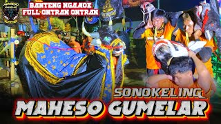 Banteng Estafet Full Ontran Ontran‼️MAHESO GUMELAR SONOKELING Terbaru Edisi Obrak Abrik Penonton