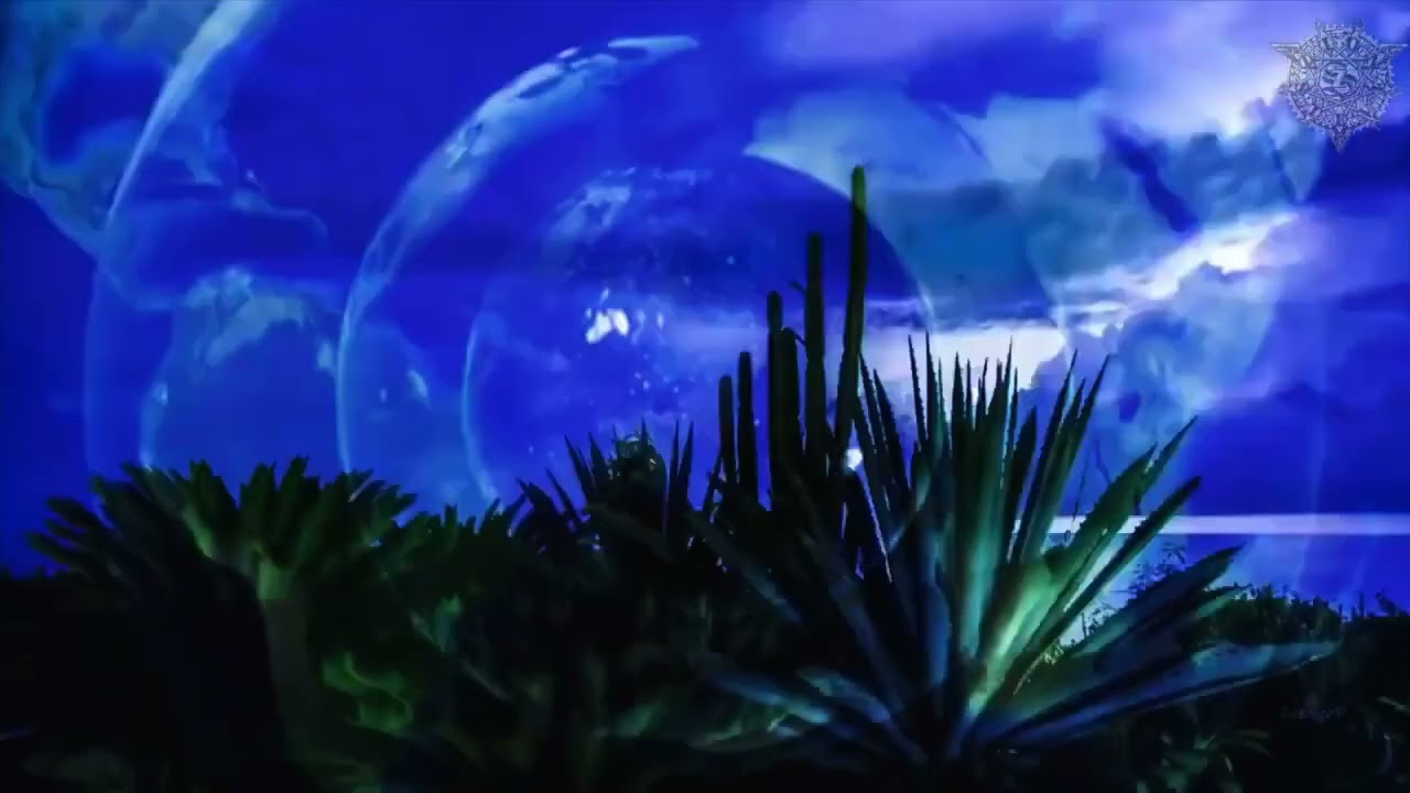 A Tribe Called Steve - Lord Steven Christ's Concave Earth