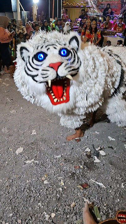 Barongan macan terbaru