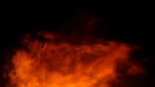 MVI_8865.AVI