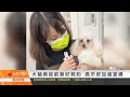 犬貓美容前簽好契約 高市府加強宣導