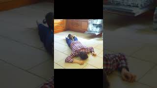 The cats reaction to the death of its owner #shorts @slivkishowen